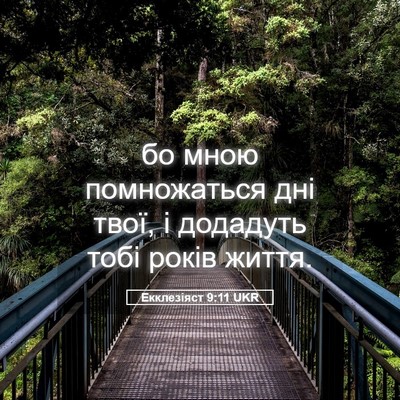 Picture 05 - Екклезіяст 9:11 UKR - бо мною помножаться дні - Bible Verse Picture