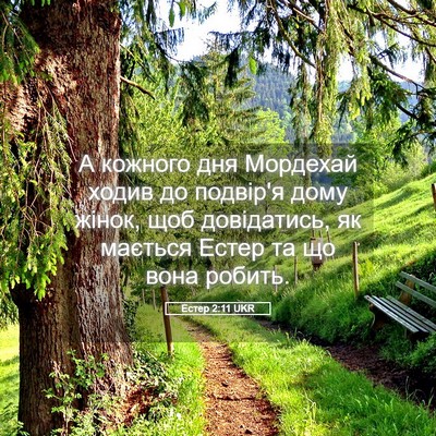 Picture 05 - Естер 2:11 UKR - А кожного дня Мордехай - Bible Verse Picture