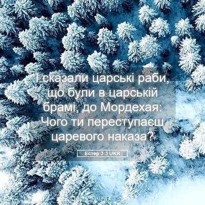 Picture 05 - Естер 3:3 UKR - І сказали царські раби, що - Bible Verse Picture