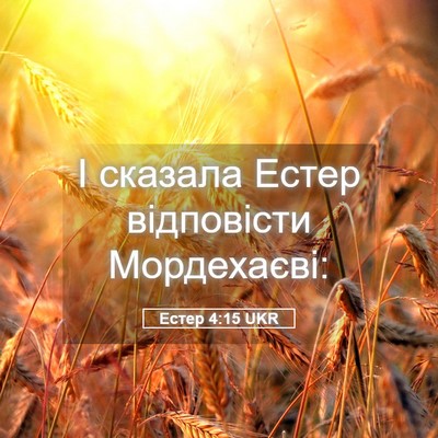 Picture 05 - Естер 4:15 UKR - І сказала Естер відповісти - Bible Verse Picture