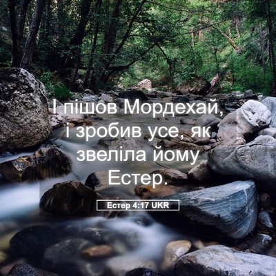 Picture 05 - Естер 4:17 UKR - І пішов Мордехай, і зробив - Bible Verse Picture
