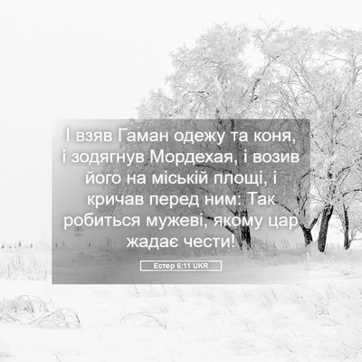 Picture 05 - Естер 6:11 UKR - І взяв Гаман одежу та коня, - Bible Verse Picture