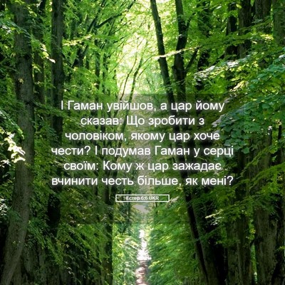 Picture 05 - Естер 6:6 UKR - І Гаман увійшов, а цар йому - Bible Verse Picture