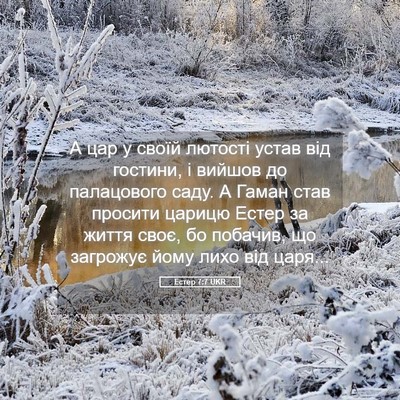 Picture 05 - Естер 7:7 UKR - А цар у своїй лютості устав - Bible Verse Picture