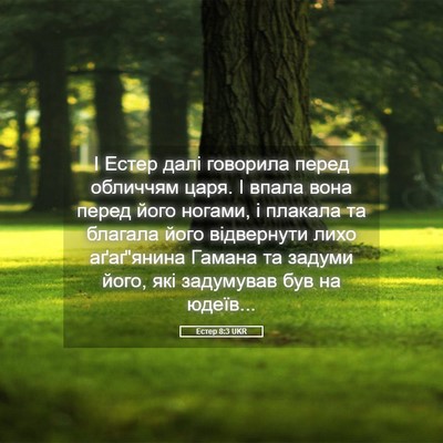 Picture 05 - Естер 8:3 UKR - І Естер далі говорила - Bible Verse Picture
