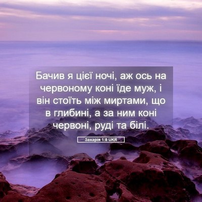 Picture 05 - Захарія 1:8 UKR - Бачив я цієї ночі, аж ось на - Bible Verse Picture