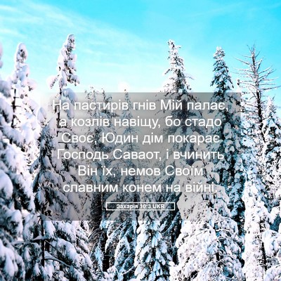Picture 05 - Захарія 10:3 UKR - На пастирів гнів Мій палає, - Bible Verse Picture