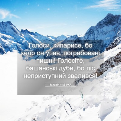 Picture 05 - Захарія 11:2 UKR - Голоси, кипарисе, бо кедр - Bible Verse Picture