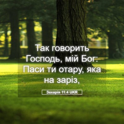 Picture 05 - Захарія 11:4 UKR - Так говорить Господь, мій - Bible Verse Picture
