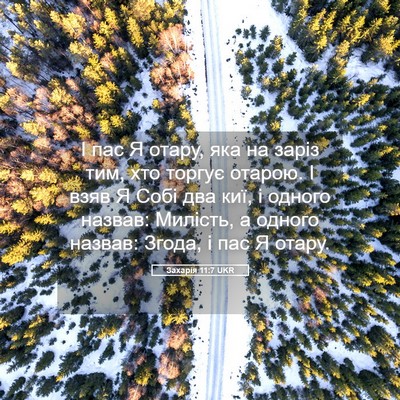Picture 05 - Захарія 11:7 UKR - І пас Я отару, яка на заріз - Bible Verse Picture