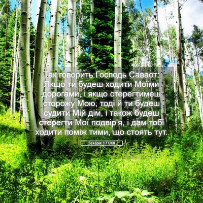 Picture 05 - Захарія 3:7 UKR - Так говорить Господь - Bible Verse Picture