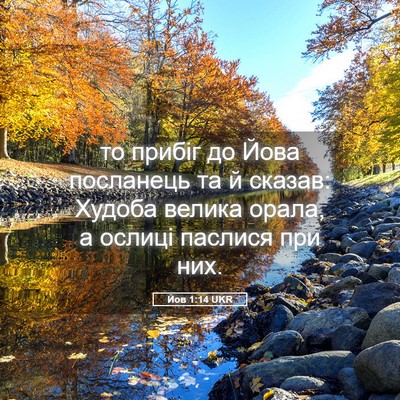 Picture 05 - Йов 1:14 UKR - то прибіг до Йова - Bible Verse Picture