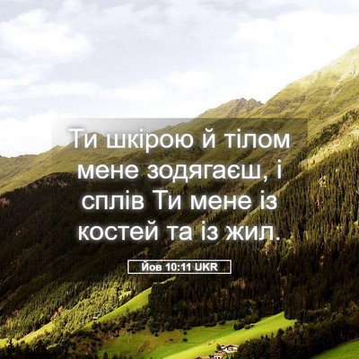 Picture 05 - Йов 10:11 UKR - Ти шкірою й тілом мене - Bible Verse Picture
