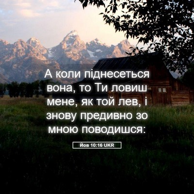 Picture 05 - Йов 10:16 UKR - А коли піднесеться вона, то - Bible Verse Picture