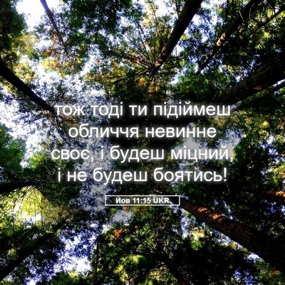 Picture 05 - Йов 11:15 UKR - тож тоді ти підіймеш - Bible Verse Picture