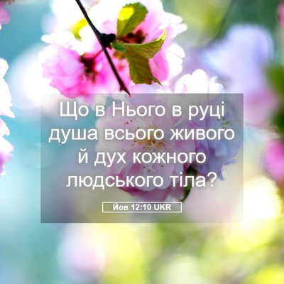 Picture 05 - Йов 12:10 UKR - Що в Нього в руці душа - Bible Verse Picture