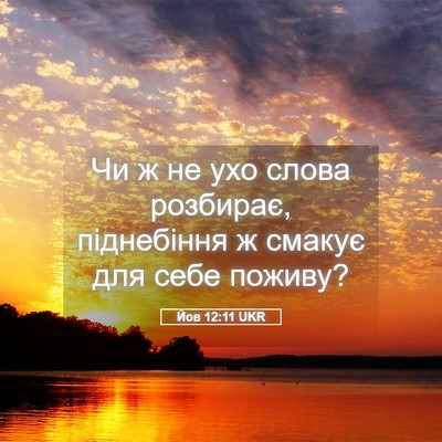 Picture 05 - Йов 12:11 UKR - Чи ж не ухо слова розбирає, - Bible Verse Picture