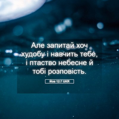 Picture 05 - Йов 12:7 UKR - Але запитай хоч худобу і - Bible Verse Picture