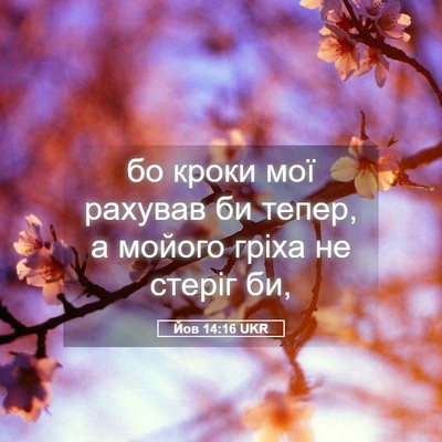 Picture 05 - Йов 14:16 UKR - бо кроки мої рахував би - Bible Verse Picture