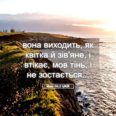 Picture 05 - Йов 14:2 UKR - вона виходить, як квітка й - Bible Verse Picture