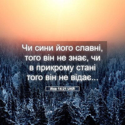 Picture 05 - Йов 14:21 UKR - Чи сини його славні, того - Bible Verse Picture