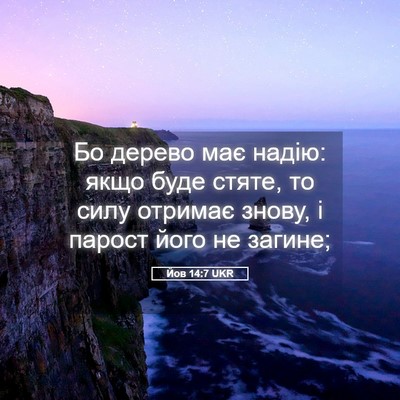 Picture 05 - Йов 14:7 UKR - Бо дерево має надію: якщо - Bible Verse Picture