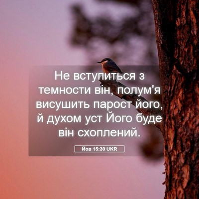 Picture 05 - Йов 15:30 UKR - Не вступиться з темности - Bible Verse Picture