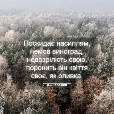 Picture 05 - Йов 15:33 UKR - Поскидає насиллям, немов - Bible Verse Picture