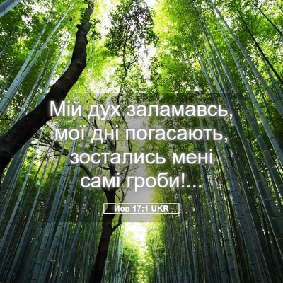Picture 05 - Йов 17:1 UKR - Мій дух заламавсь, мої дні - Bible Verse Picture