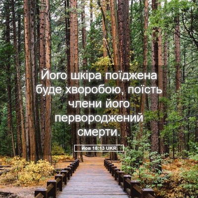 Picture 05 - Йов 18:13 UKR - Його шкіра поїджена буде - Bible Verse Picture