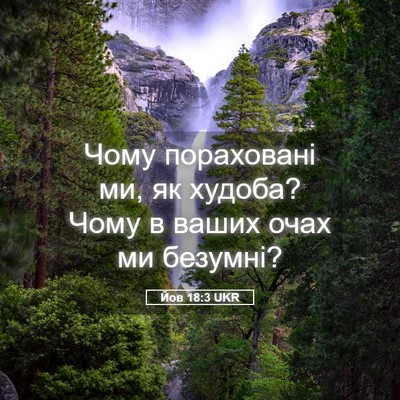 Picture 05 - Йов 18:3 UKR - Чому пораховані ми, як - Bible Verse Picture