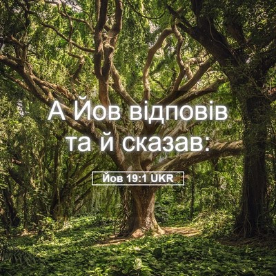 Picture 05 - Йов 19:1 UKR - А Йов відповів та й - Bible Verse Picture