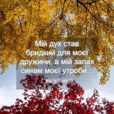 Picture 05 - Йов 19:17 UKR - Мій дух став бридкий для - Bible Verse Picture