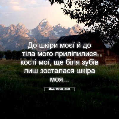 Picture 05 - Йов 19:20 UKR - До шкіри моєї й до тіла - Bible Verse Picture