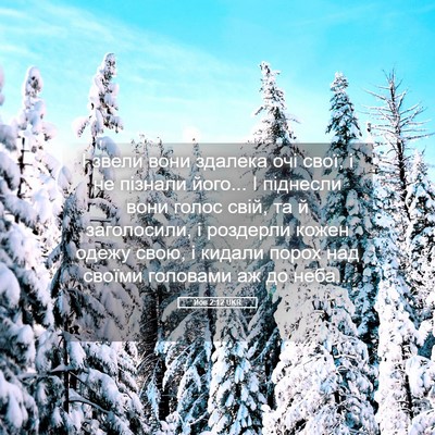 Picture 05 - Йов 2:12 UKR - І звели вони здалека очі - Bible Verse Picture