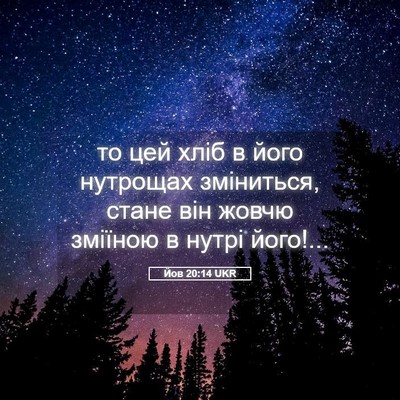 Picture 05 - Йов 20:14 UKR - то цей хліб в його нутрощах - Bible Verse Picture