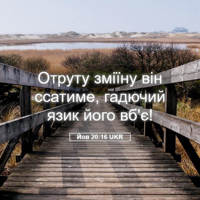 Picture 05 - Йов 20:16 UKR - Отруту зміїну він ссатиме, - Bible Verse Picture