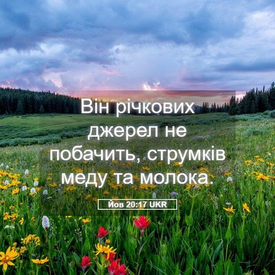 Picture 05 - Йов 20:17 UKR - Він річкових джерел не - Bible Verse Picture
