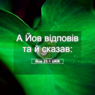 Picture 05 - Йов 23:1 UKR - А Йов відповів та й - Bible Verse Picture