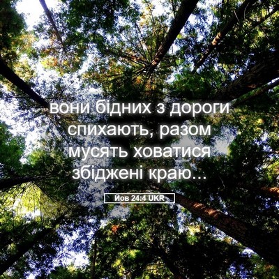 Picture 05 - Йов 24:4 UKR - вони бідних з дороги - Bible Verse Picture