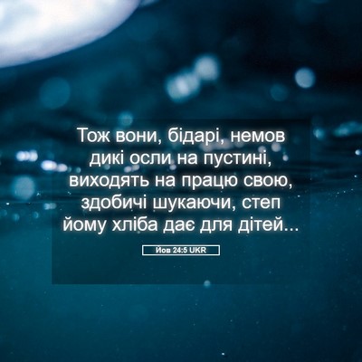 Picture 05 - Йов 24:5 UKR - Тож вони, бідарі, немов - Bible Verse Picture