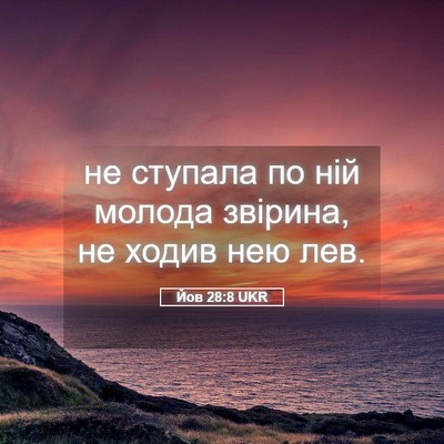 Picture 05 - Йов 28:8 UKR - не ступала по ній молода - Bible Verse Picture