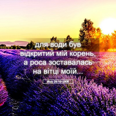Picture 05 - Йов 29:19 UKR - для води був відкритий мій - Bible Verse Picture
