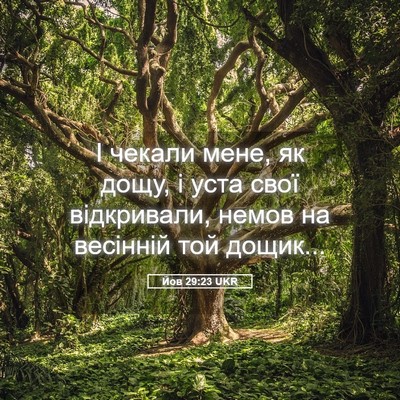 Picture 05 - Йов 29:23 UKR - І чекали мене, як дощу, і - Bible Verse Picture