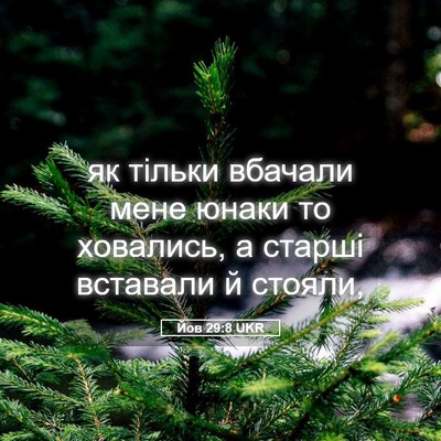 Picture 05 - Йов 29:8 UKR - як тільки вбачали мене - Bible Verse Picture
