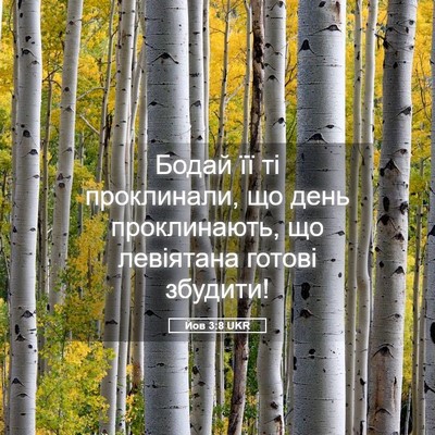 Picture 05 - Йов 3:8 UKR - Бодай її ті проклинали, що - Bible Verse Picture