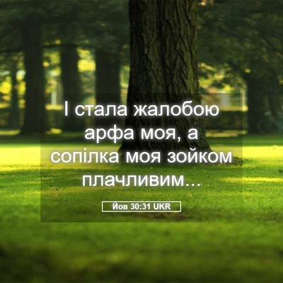 Picture 05 - Йов 30:31 UKR - І стала жалобою арфа моя, а - Bible Verse Picture