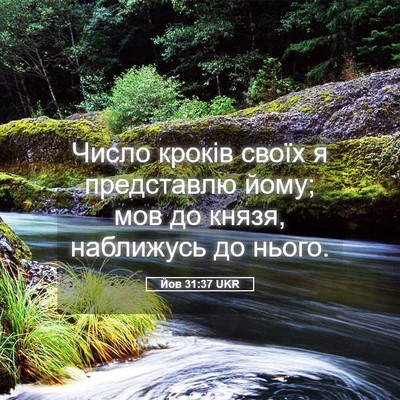 Picture 05 - Йов 31:37 UKR - Число кроків своїх я - Bible Verse Picture
