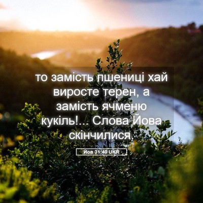 Picture 05 - Йов 31:40 UKR - то замість пшениці хай - Bible Verse Picture