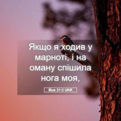 Picture 05 - Йов 31:5 UKR - Якщо я ходив у марноті, і на - Bible Verse Picture